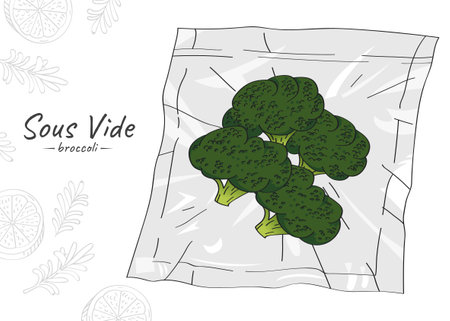 Vector hand drawn sketch illustration of broccoli. Sous Vide Slow Cooking Technology.のイラスト素材