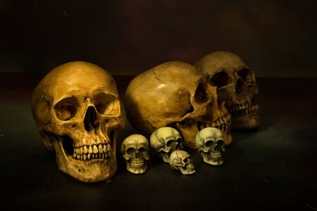 Still life painting photography with human skullsの写真素材