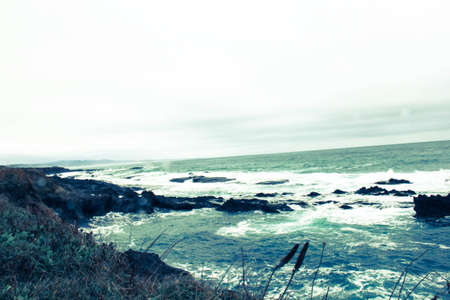 coastの写真素材