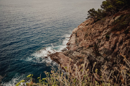 Views of a cove on the Costa Brava from a high pointの写真素材