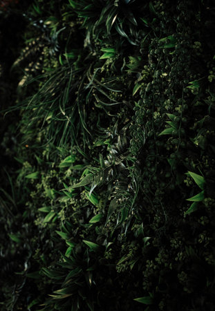 Wall of plants and grass ideal for modern decorationの写真素材