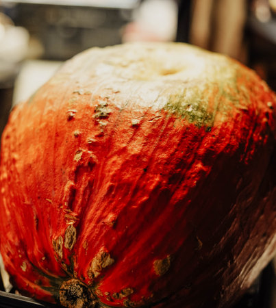 Orange and large pumpkin for decorationの写真素材