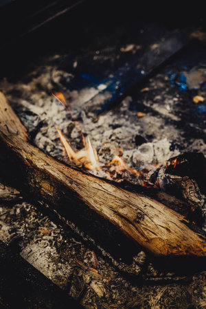 Eucalyptus trunk burning on the grill
