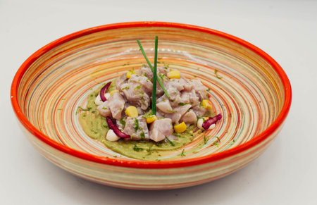 Gourmet plate of sea bass and red onion cevicheの写真素材