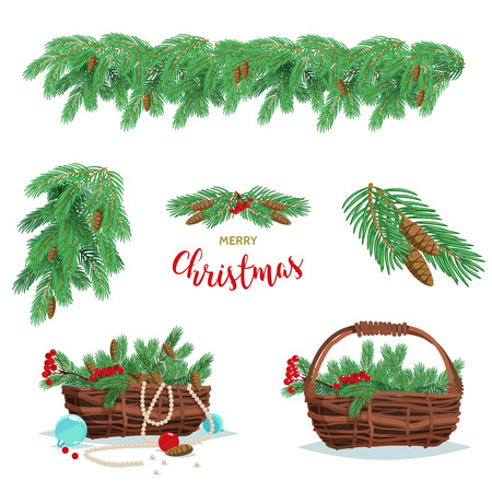 Set of basket of fir spruce branches, berries and cones isolated on white background. Vector stock illustration.のイラスト素材
