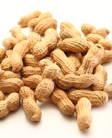 Close up of roasted peanuts in the shell on white background