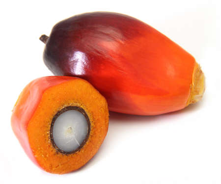Cut fresh oil palm fruits isolated on white backgroundの写真素材