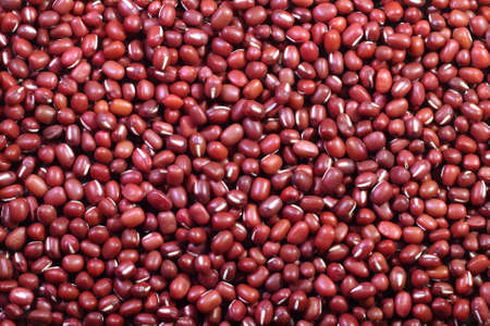 Close up image of fresh and healthy red beans 