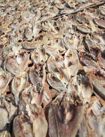fish placed in strong sunlight to dryの写真素材