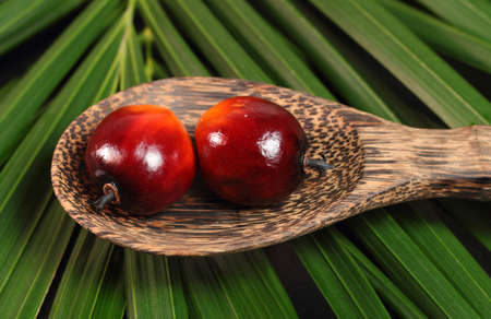 Oil palm fruits and wood ladle on a leaves background