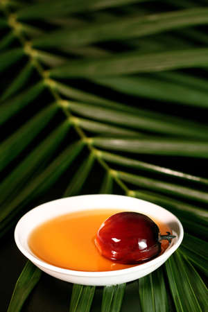 Oil palm fruits and a plate of cooking oil on leaves backgroundの写真素材
