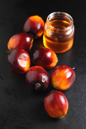 Oil palm fruits and oil bottle on a leaves backgroundの写真素材