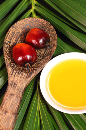 Oil palm fruits and a plate of cooking oil on leaves backgroundの写真素材