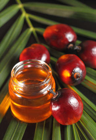 Oil palm fruits and oil bottle on a leaves backgroundの写真素材