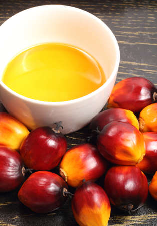 Oil palm fruits and bowl of cooking oil on black backgroundの写真素材