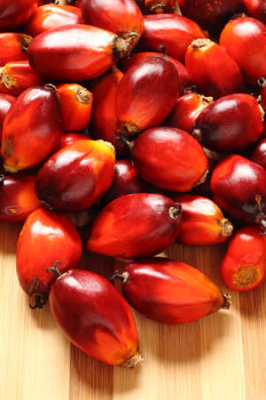 a bunch of oil palm fruits on a timber backgroundの写真素材