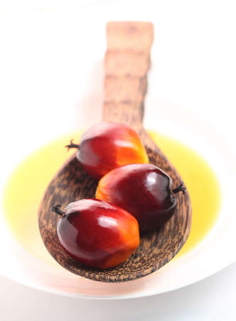 Oil palm fruits, cooking oil and wood ladle on white plateの写真素材
