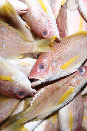 A pile of fresh fishes at fish market for sell