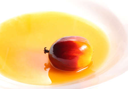 Fresh oil palm fruit and cooking oil on white plateの写真素材