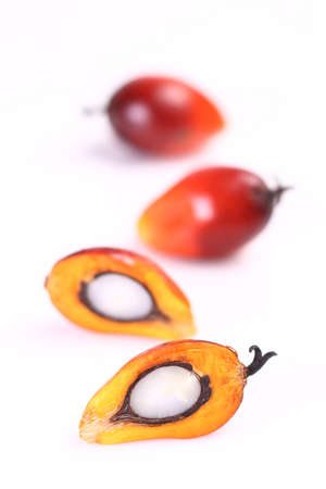 Cut fresh oil palm fruits on the white and clean backgroundの写真素材