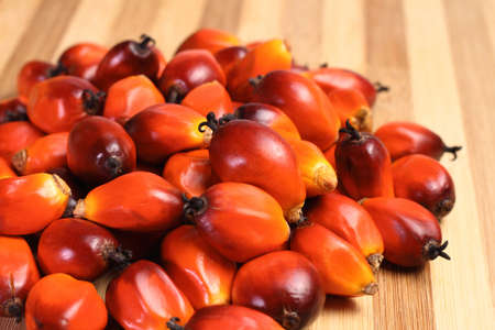 A group of oil palm fruits on the cutting boardの写真素材