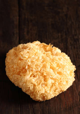 One of the snow fungus isolated on dark wooden backgroundの写真素材
