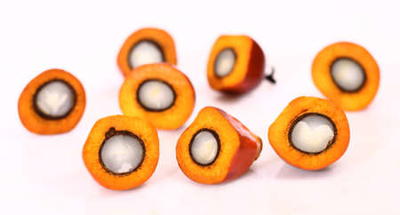 Cut fresh oil palm fruits on the white and clean backgroundの写真素材