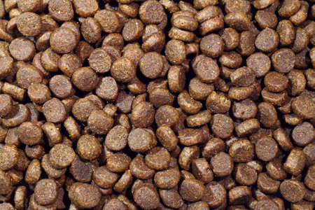 Dry dog food isolated on white color background