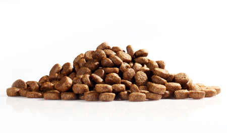 Dry dog food isolated on white の写真素材