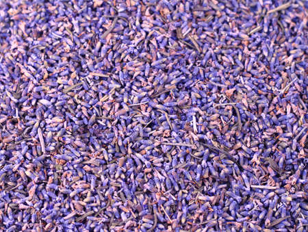 Romantic purple lavender flowers backgroundの写真素材