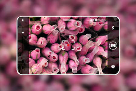 Taking flowers photo with smartphone.の写真素材