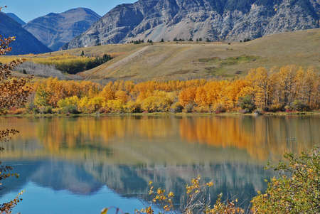 Gorgeous Autumn Dayの写真素材