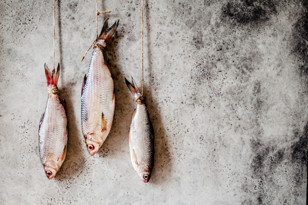 Salting Roaches, Handing to Dry and Salt through, copy space for  textの写真素材
