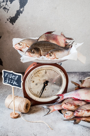 Fish Market, Selling Various Fresh Water River Fish, copy space for your textの写真素材