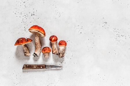 Wild Mushrooms, Red Capped Boletes, copy space for textの写真素材