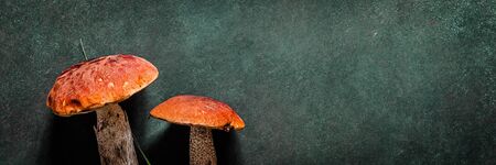 Wild Mushrooms, Red-Capped Boletes, banner, copy space for your text