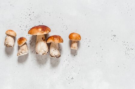 Wild Mushrooms, Porcini, copy space for your textの写真素材