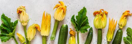 Zucchinis with Flowers and Leaves, horizontal bannerの写真素材