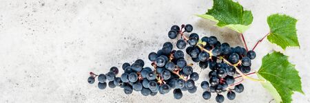 A Bunch of Black Grapes with Leaves, banner