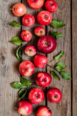 Ripe Red Apples with Leaves, Old Woodの写真素材