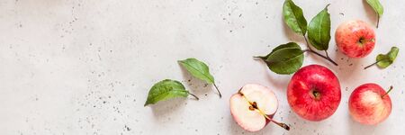 Ripe Red Apples with Leaves, Textured Concrete Background, banner, copy space for your textの写真素材