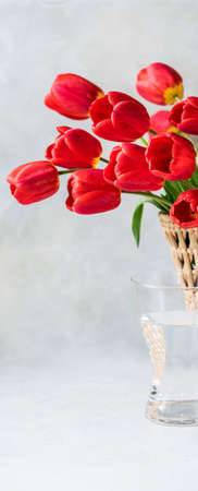 A Bunch of Red Tulip Flowers copy space for  textの写真素材
