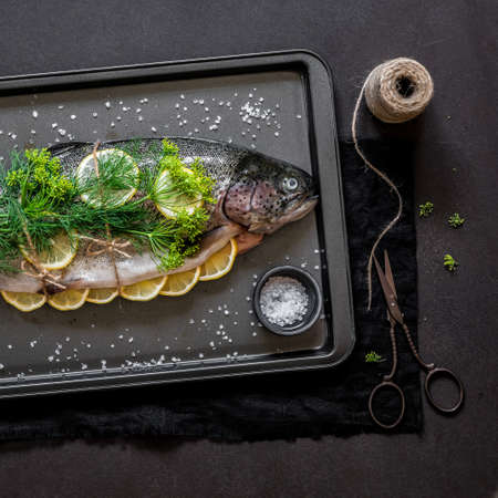 Whole Raw Trout / Salmon with Lemon and Dill on the Baking Tray Prepared to Be Roasted, squareの写真素材