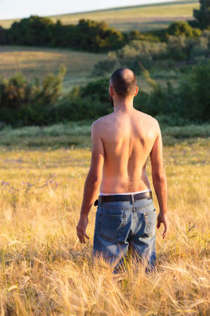 Rear view of a fit shirtless young man in jeans, standing in contemplation of a sunny grass field...