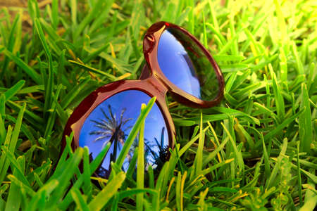 Close up of sunglasses with palm tree and in blue sky reflection.の写真素材