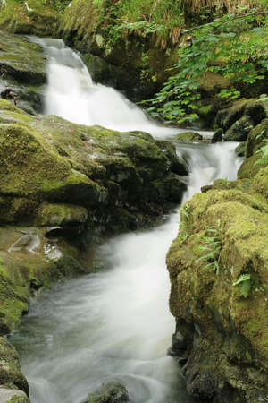 water fallの写真素材