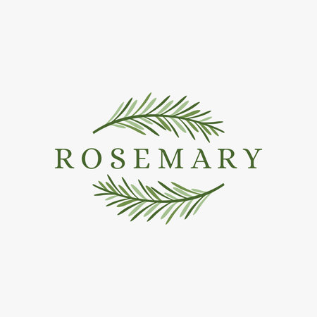 Fresh green rosemary logo icon vector on white backgroundのイラスト素材