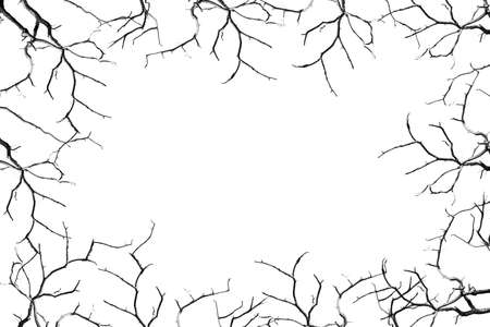 Text ready abstract background, wallpaper, print, cover, banner. Set of wood branches as a frame on a white background.の写真素材