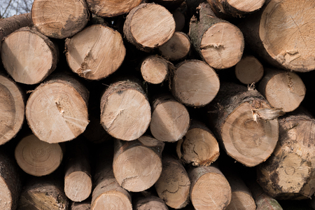 Stacked pile od wooden logs, firewood.