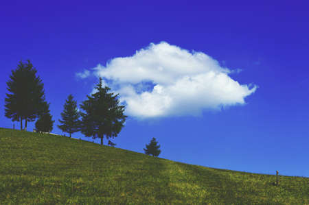 Romanian mountains